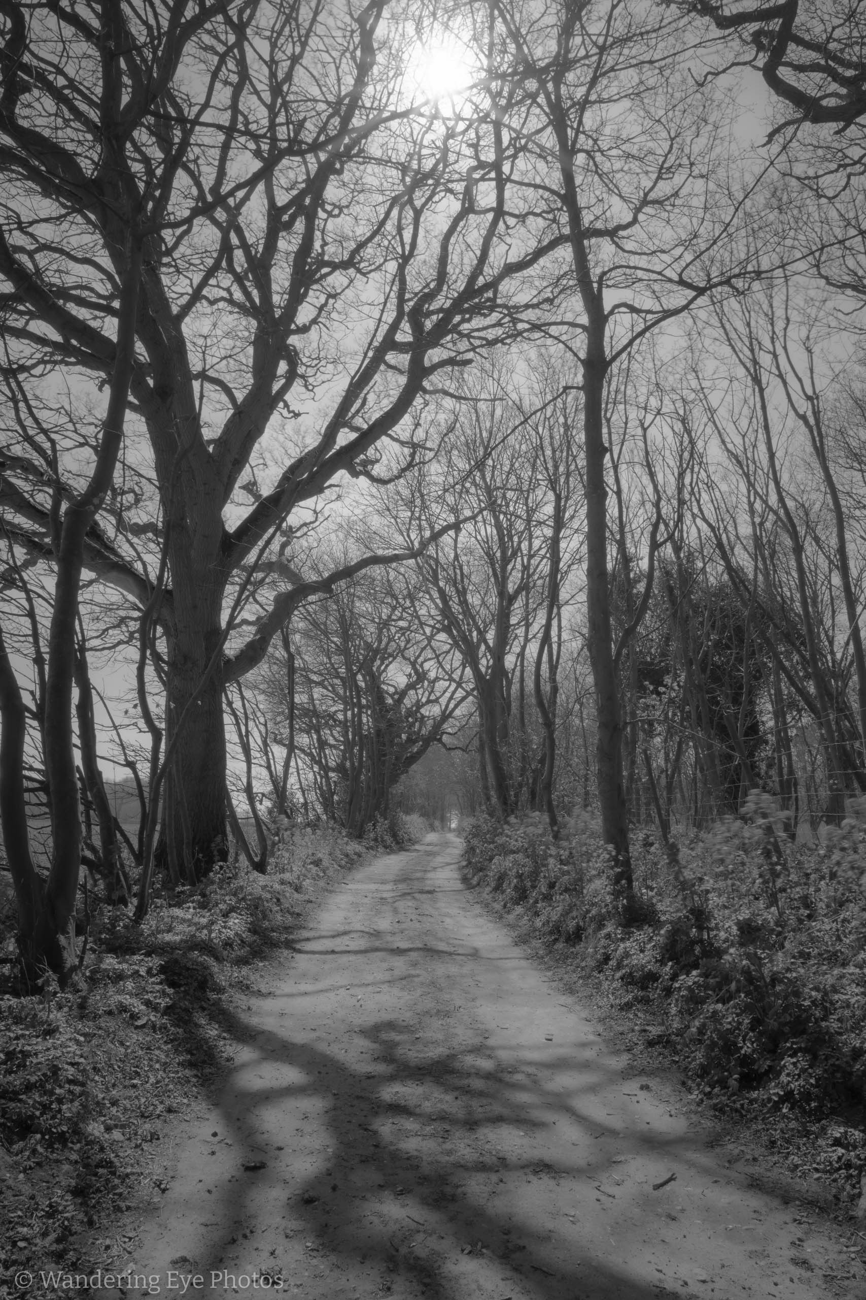 04.11 13.46.37   DSC06011